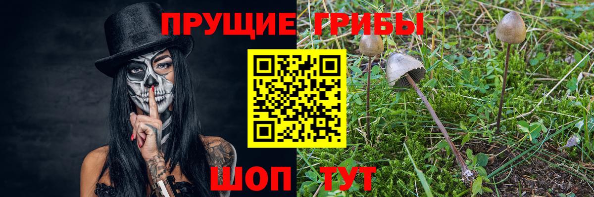 Азов  Псилоцибиновые грибы Psilocybe  Вход с VPN 